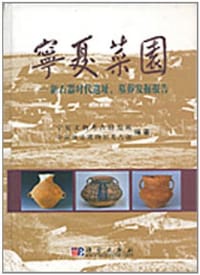 宁夏菜园