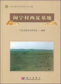 闽宁村西夏墓地