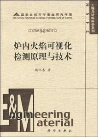 炉内火焰可视化检测原理与技术