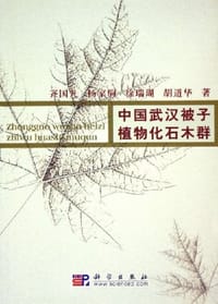 中国武汉被子植物化石木群