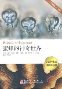 蜜蜂的神奇世界