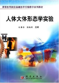 人体大体形态学实验