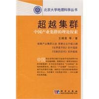 书籍 超越集群的封面