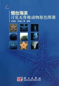 烟台海滨习见无脊椎动物原色图谱