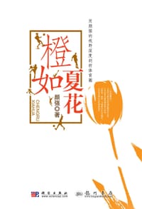 书籍 橙如夏花的封面