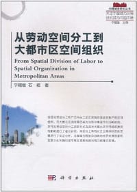 书籍 从劳动空间分工到大都市区空间组织的封面