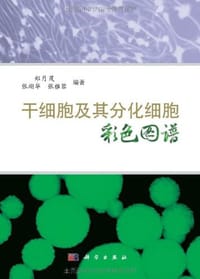 干细胞及其分化细胞彩色图谱 - 无名图书