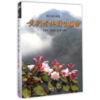 四川省古蔺县黄荆老林野生植物