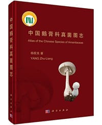 书籍 中国鹅膏科真菌图志的封面