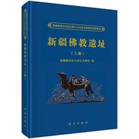 书籍 新疆佛教遗址的封面