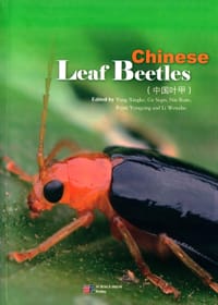 中国叶甲
