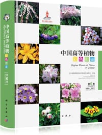 书籍 中国高等植物彩色图鉴 第六卷 岩梅科～茄科的封面