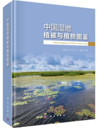 中国湿地植被与植物图鉴 - 赵魁义等