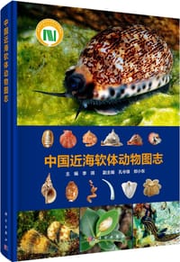 中国近海软体动物图志