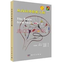 书籍 从内向外解析大脑的封面