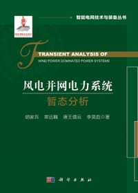 风电并网电力系统暂态分析