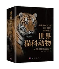 世界猫科动物