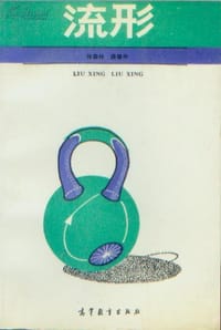 书籍 流形的封面