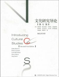 文化研究导论(修订版) - 阿雷恩·鲍尔德温