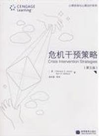 危机干预策略