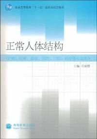 正常人体结构 - 田菊霞