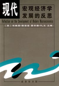 书籍 现代宏观经济学发展的反思的封面