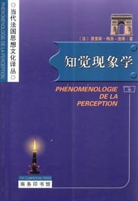 书籍 知觉现象学的封面