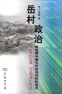 书籍 岳村政治的封面