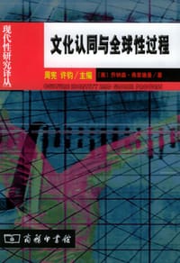 书籍 文化认同与全球性过程的封面