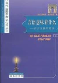 书籍 言语意味着什么的封面