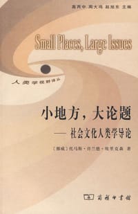 书籍 小地方，大论题的封面