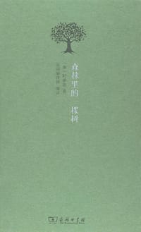 森林里的一棵树