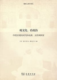 观文化，看政治 - [美] 普尔尼马·曼克卡尔