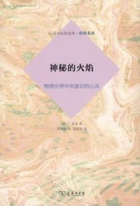 书籍 神秘的火焰的封面