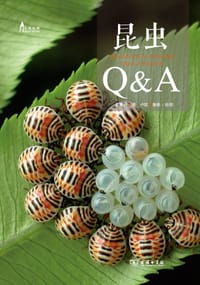 昆虫Q&A - 朱耀沂