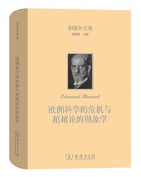 书籍 欧洲科学的危机与超越论的现象学的封面