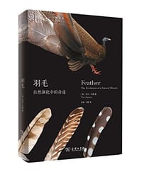 羽毛 - [美] 托尔·汉森