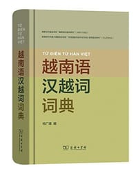 书籍 越南语汉越词词典的封面