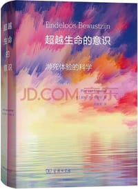 超越生命的意识 - 皮姆·范·劳美尔