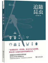 追随昆虫 - 杨小峰