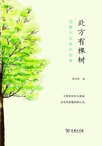 北方有棵树 - 欧阳婷