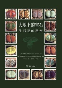 大地上的宝石