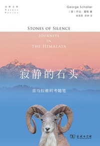 寂静的石头 - [美]乔治·夏勒