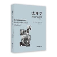 法理学：理论与语境（第八版） - [美]布赖恩·比克斯