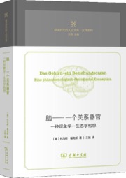 脑: 一个关系器官
