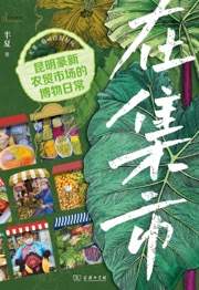 在集市
