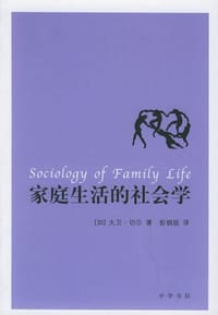 家庭生活的社会学 - 大卫·切尔