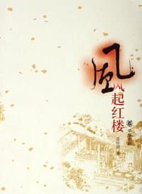 书籍 风起红楼的封面