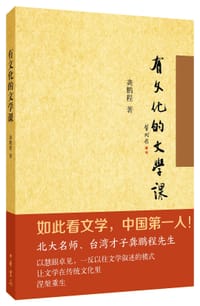 书籍 有文化的文学课的封面
