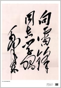 书籍 1963毛泽东主席为雷锋同志题词的封面